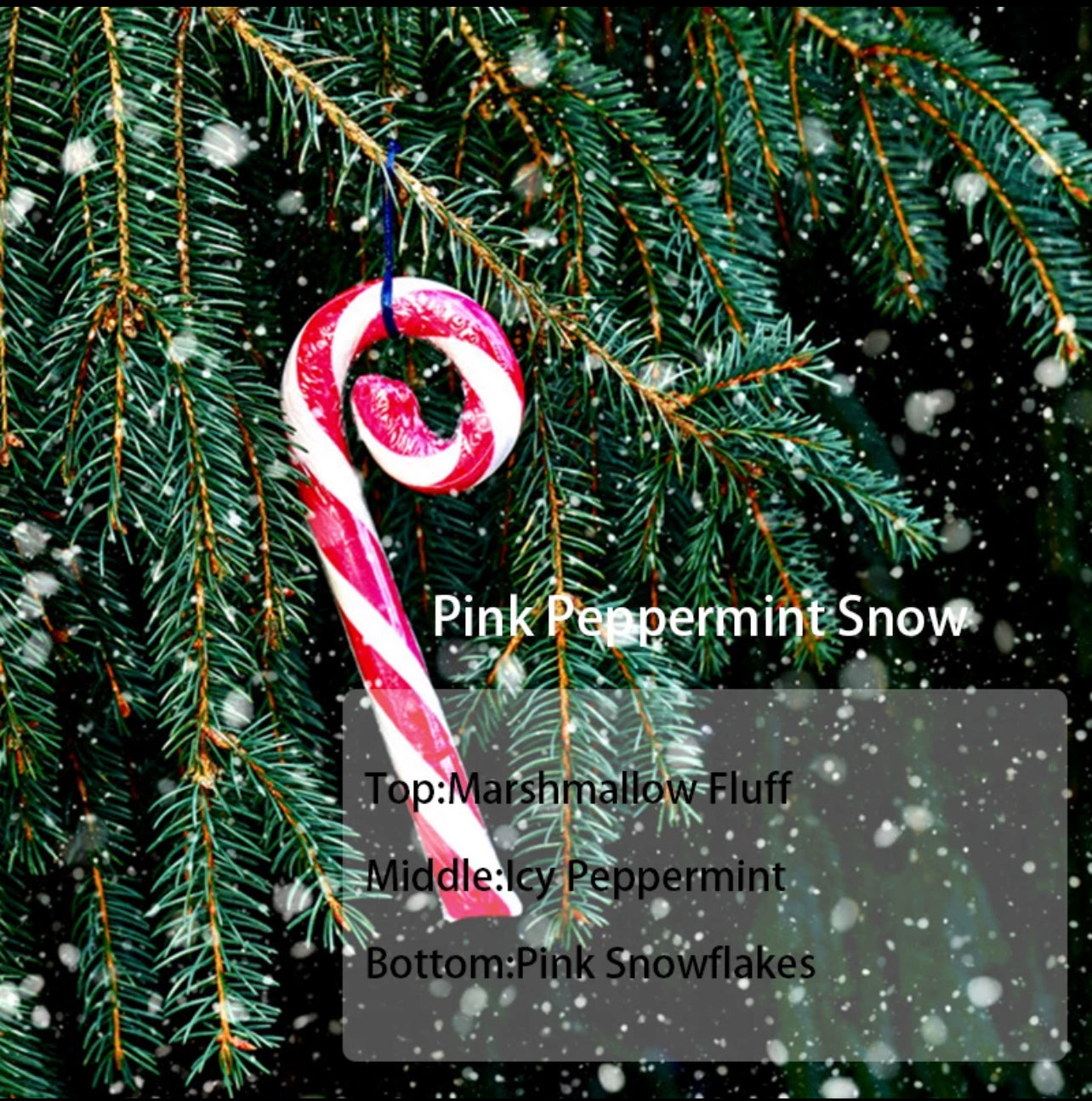 Winter Collection