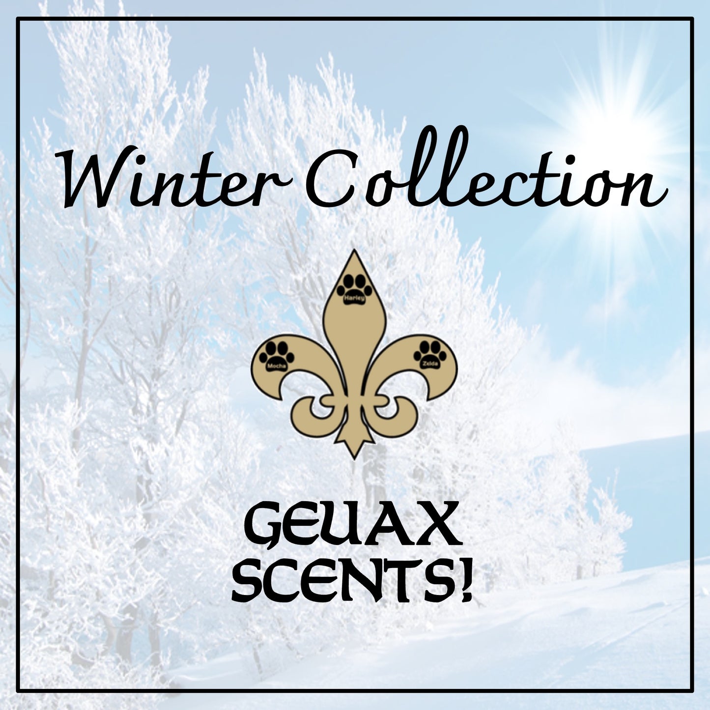 Winter Collection