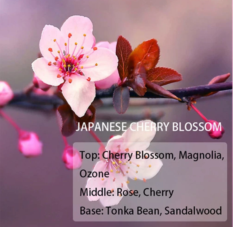 Spring Collection