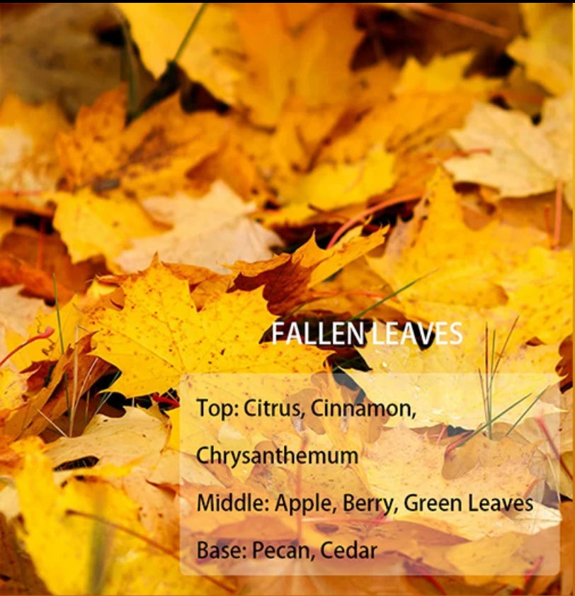 Fall Collection