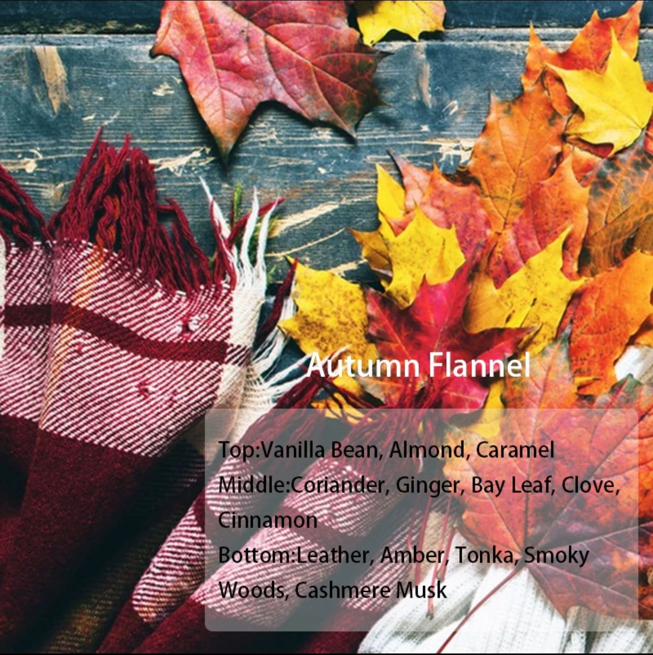 Fall Collection