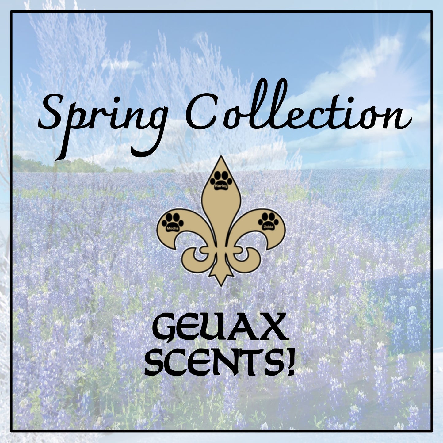 Spring Collection