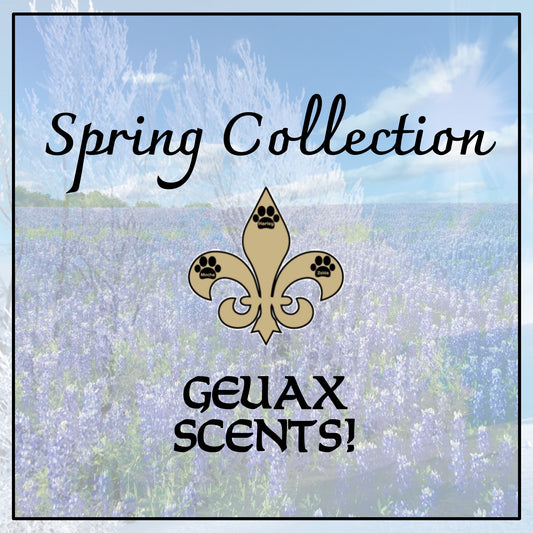 Spring Collection